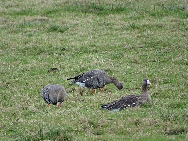 诚意与关爱 诚意与关爱