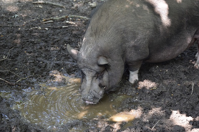 当时的环境 当时的环境