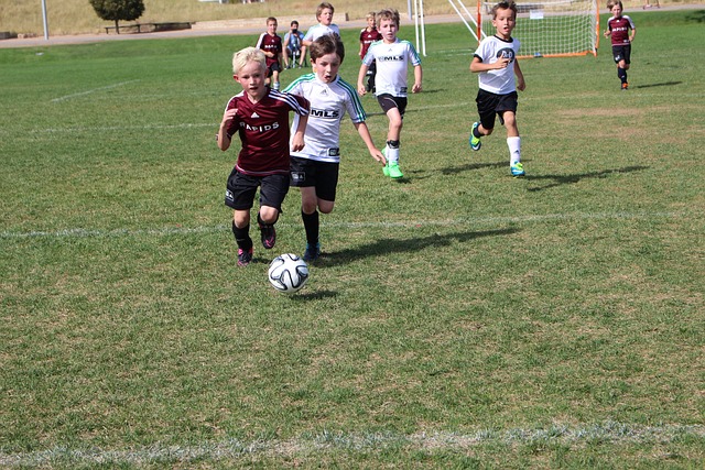 巴西國奧隊 巴西國奧隊