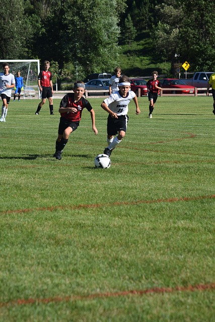 后的庞大球 后的庞大球