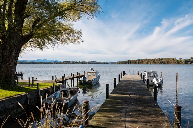 类似案例频 类似案例频